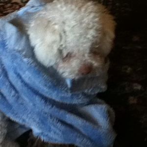 Meet your Posher, Vanessa